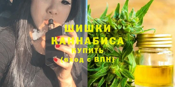 мдпв Верхний Тагил