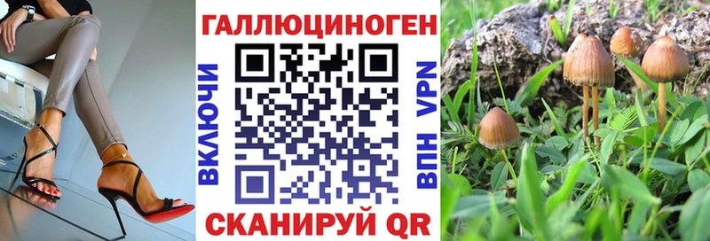 Псилоцибиновые грибы мухоморы  кракен ТОР  Электросталь 